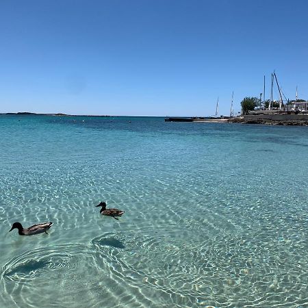Il Canaletto Apartments Porto Cesareo Ngoại thất bức ảnh